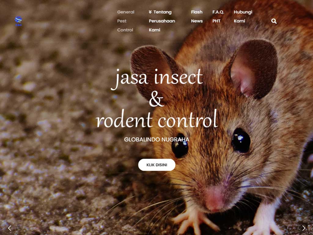 Landing page for pest control business in Bekasi, Indonesia – professional and conversion-focused design